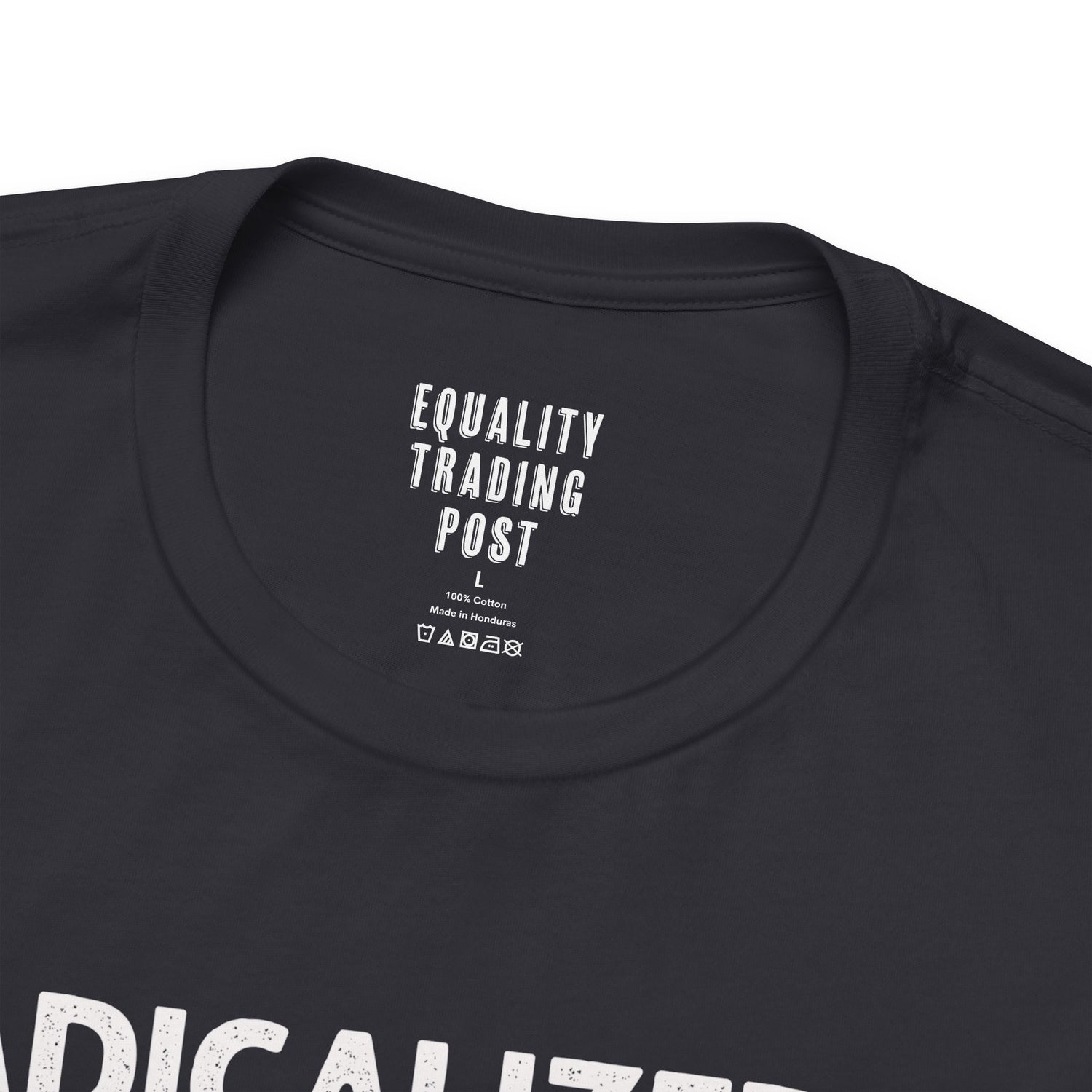 Radicalized By Basic Decency Tee