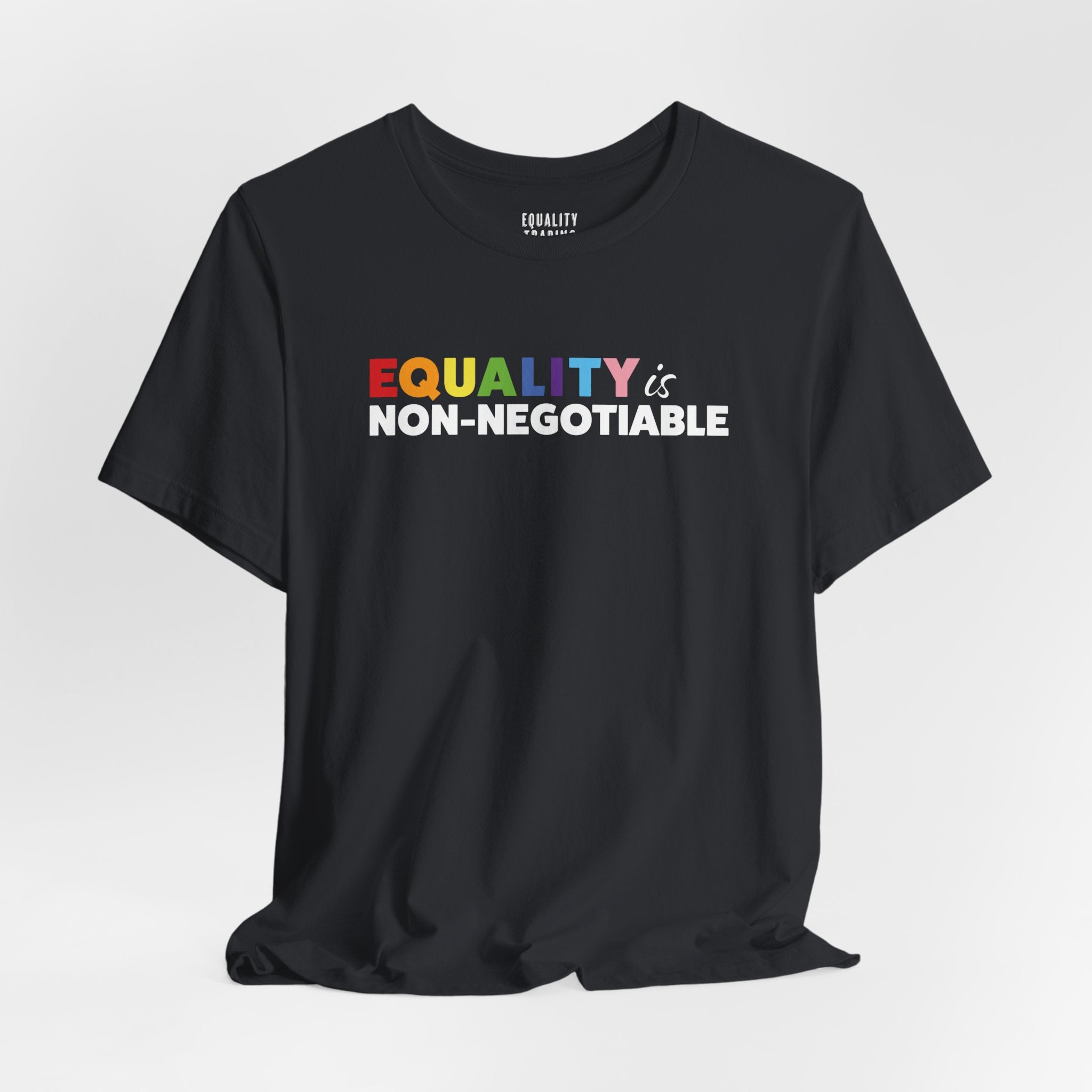 Equality is Non-Negotiable Tee