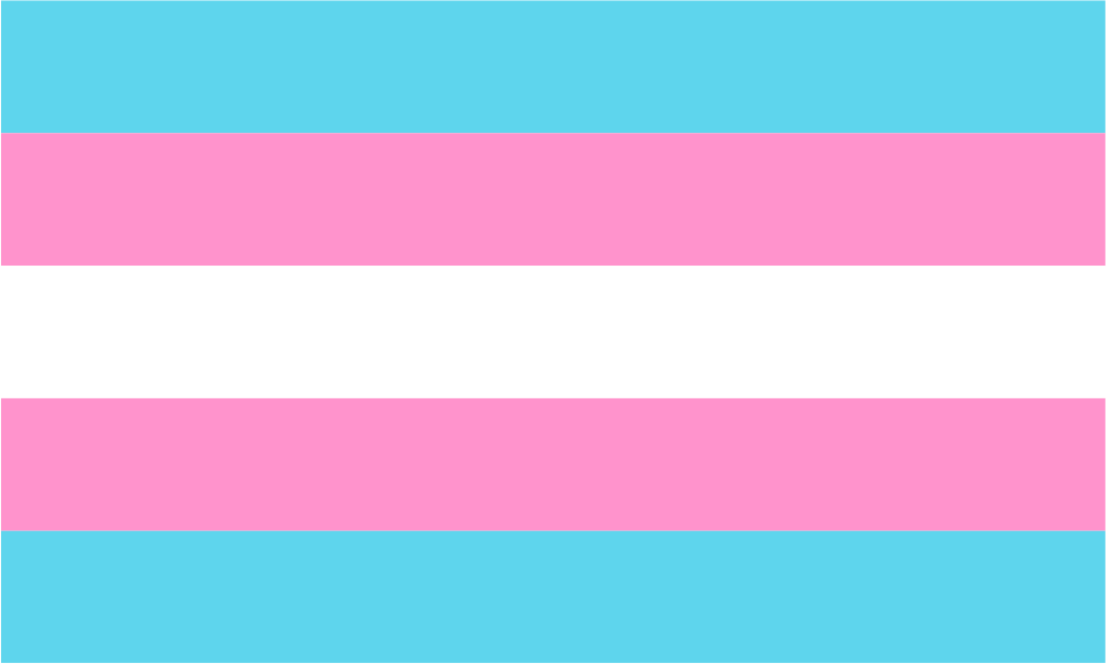Trans Pride - Equality Trading Post