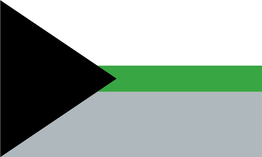 Demiromantic Pride - Equality Trading Post