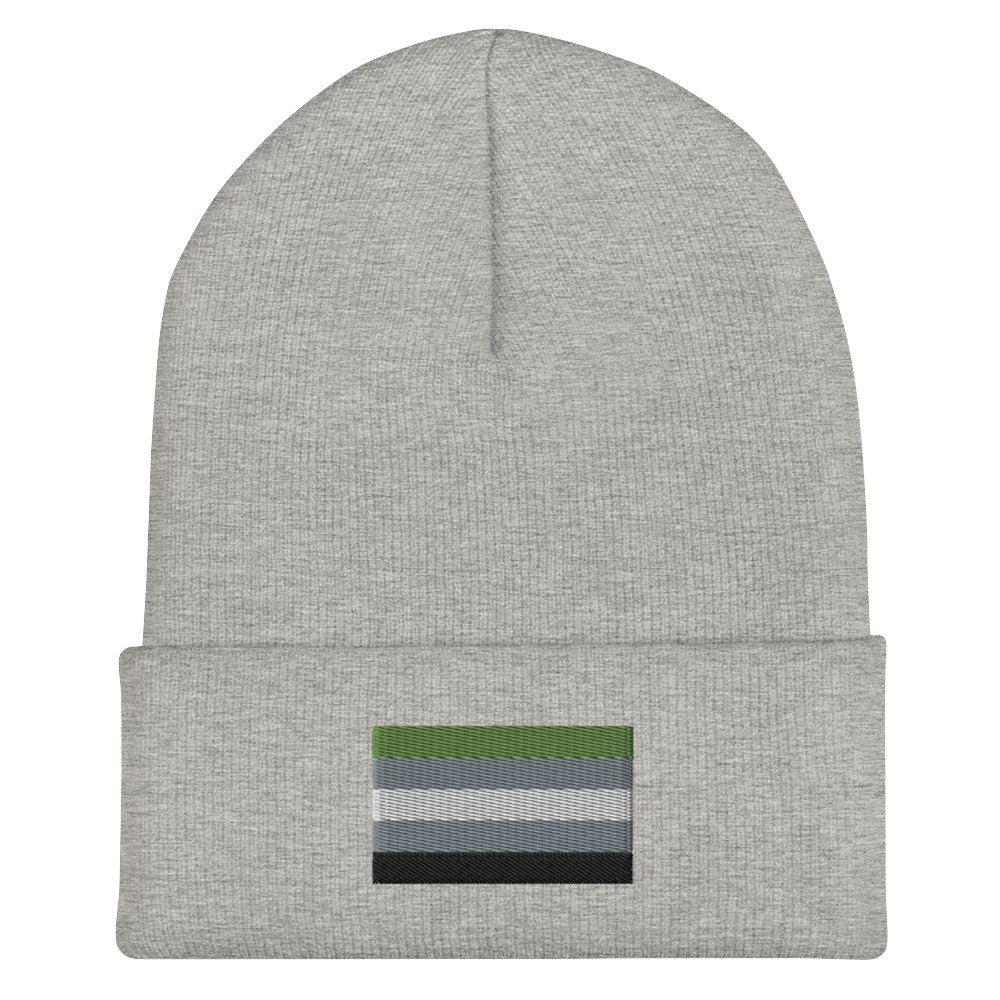 Aromantic Pride Cuffed Beanie - Equality Trading Post 