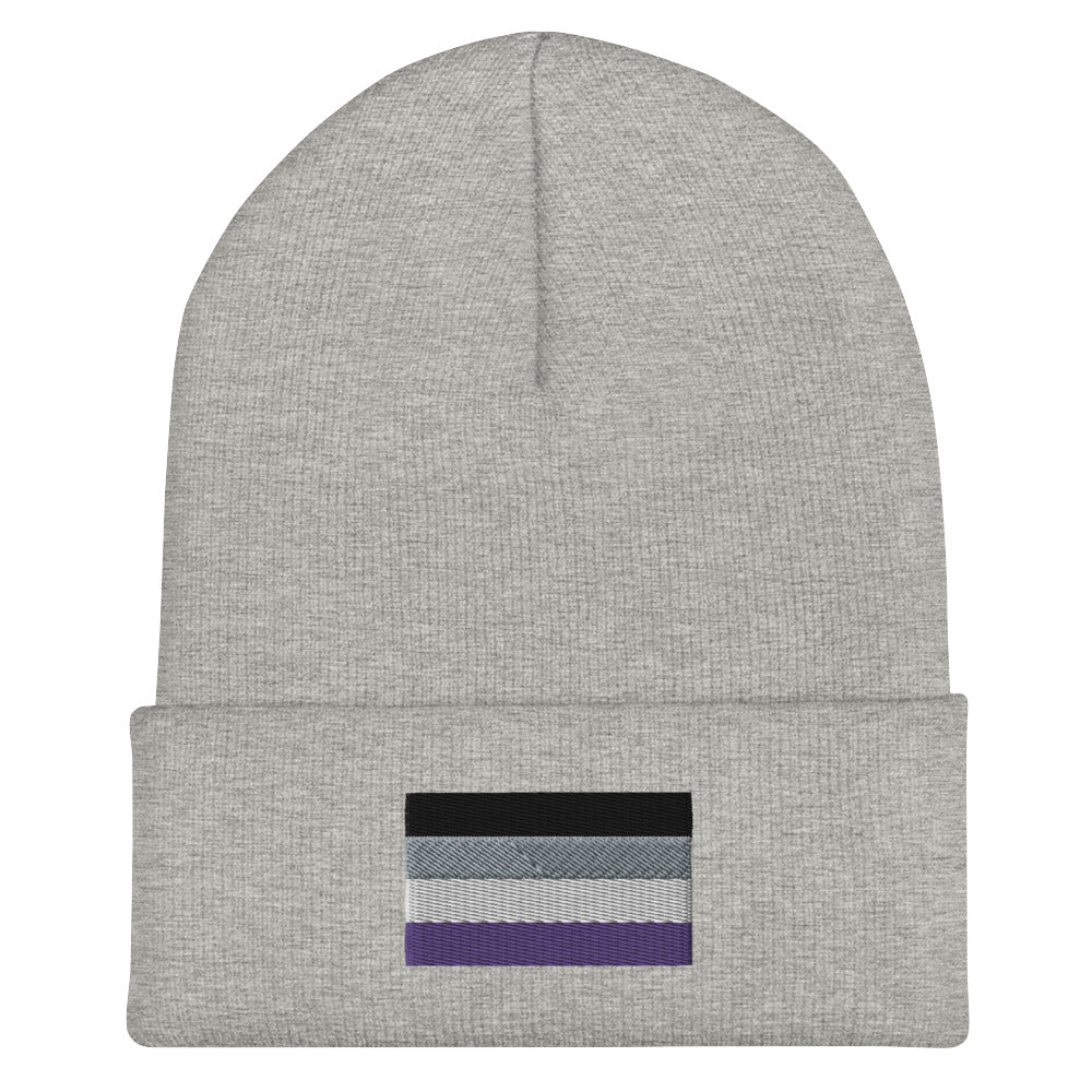 Asexual Pride Cuffed Beanie - Equality Trading Post 