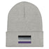 Asexual Pride Cuffed Beanie - Equality Trading Post 