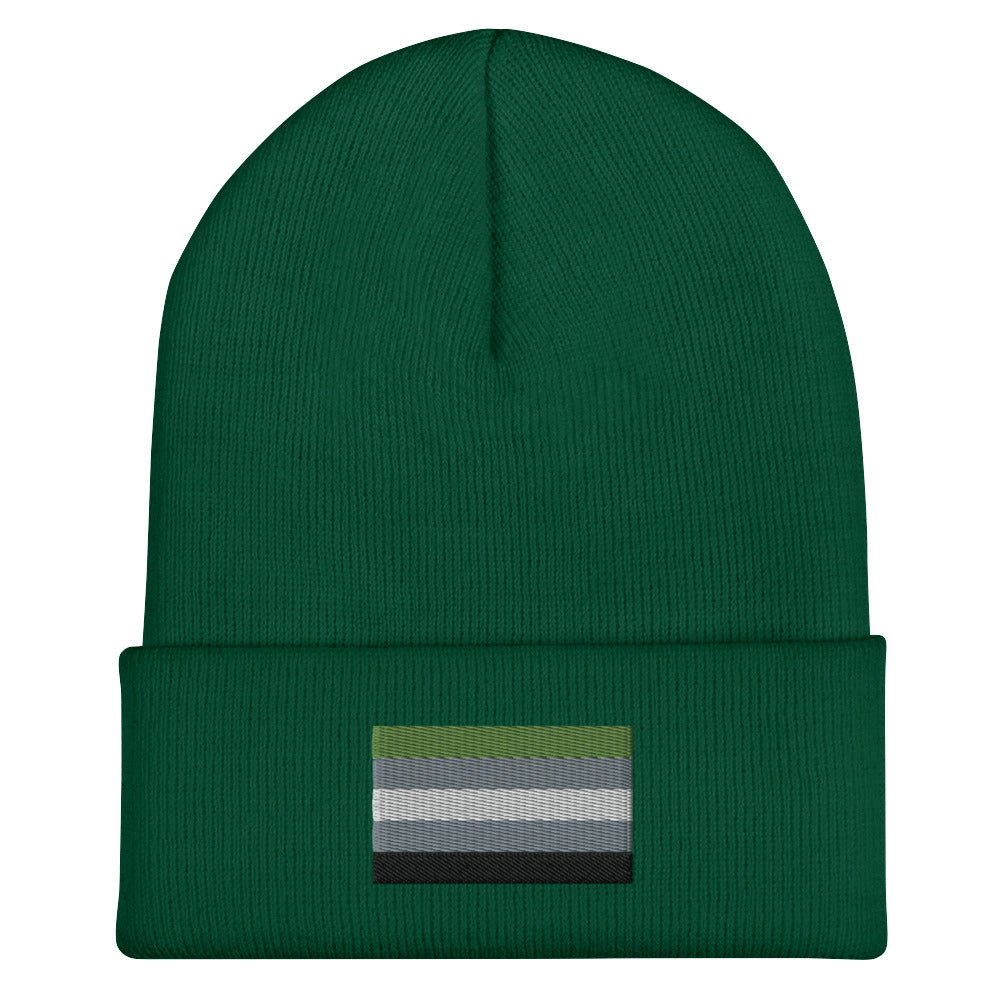 Aromantic Pride Cuffed Beanie - Equality Trading Post 