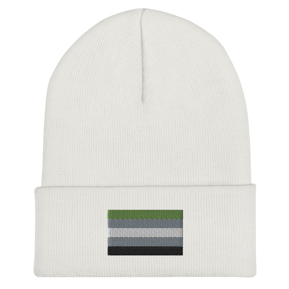 Aromantic Pride Cuffed Beanie - Equality Trading Post 