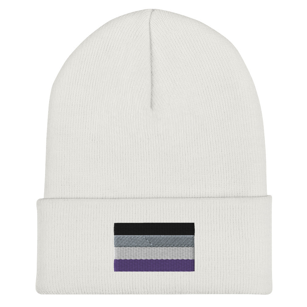 Asexual Pride Cuffed Beanie - Equality Trading Post 